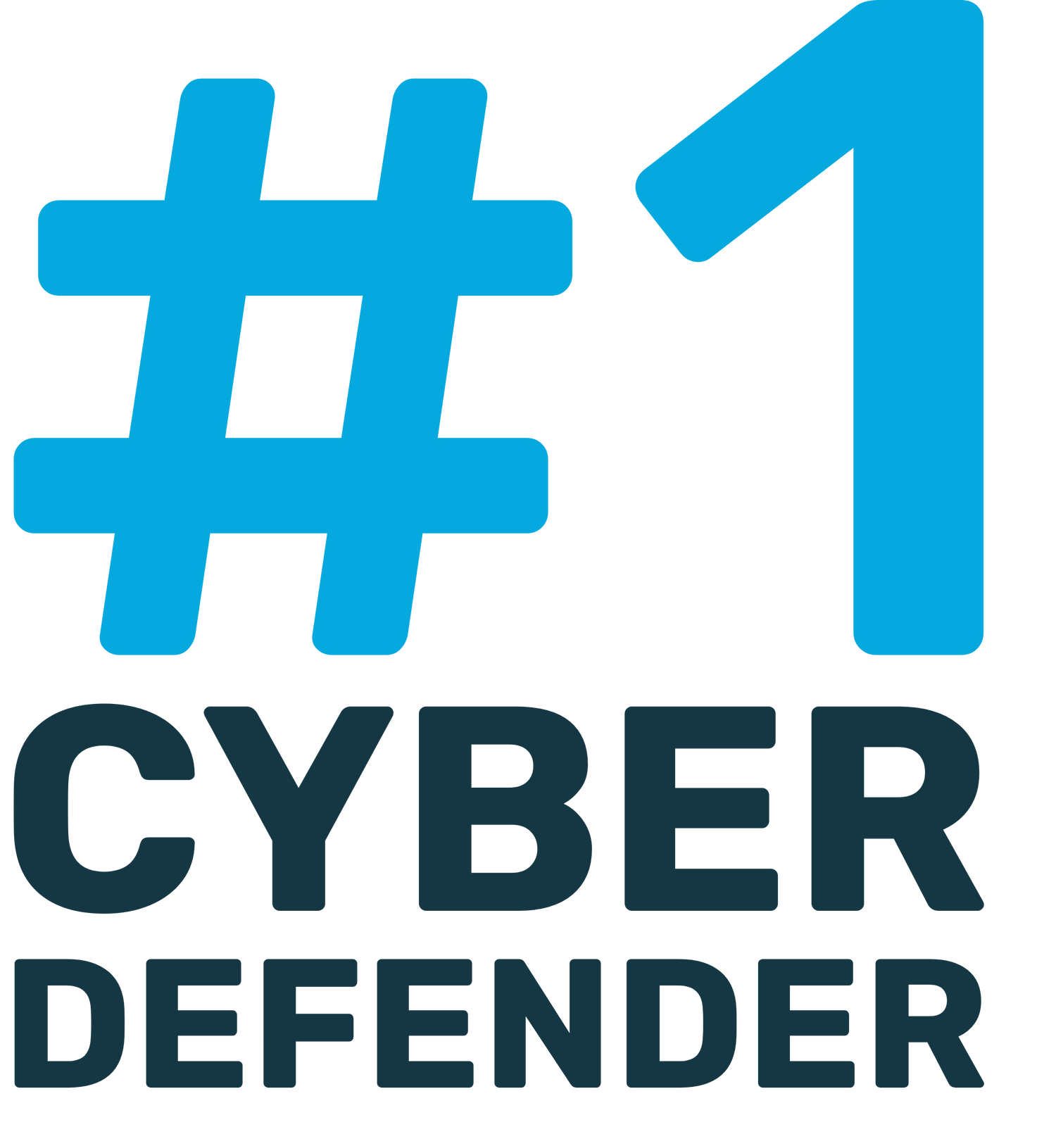 #1 CyberDefender